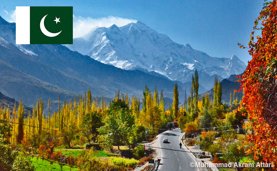 Comment conduire au Pakistan ?