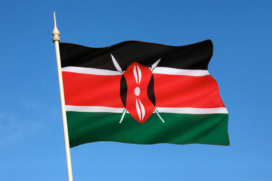 Permis de conduire au Kenya : Pourquoi un permis de conduire international est-il votre meilleur compagnon de voyage ?
